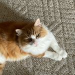Debbie Hamby - @dlppool - Instagram