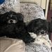Debbie Hamby - Facebook