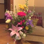 Debbie Hamlin - @debbie.hamlin.37 - Instagram