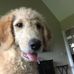 Debbie Hamlin - Facebook