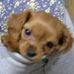 Debbie Hannam - Facebook