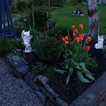 Debbie McGill Hannam - @hannamdebbie - Instagram