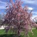 Debbie Hardesty - Facebook