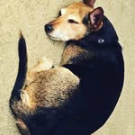 Debbie Hardesty - @debhard10 - Instagram