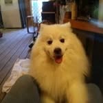 Debbie Hardy - @alittlebit62 - Instagram