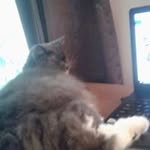 Debbie Harmon - @debharmon68 - Instagram