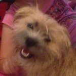Debbie Harms - @l33tmum - Instagram