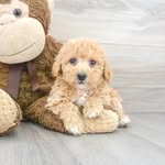 Debbie Harvey - @jonswillsgmail.com3 - Instagram