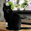 debbiehaskell - @debbiehaskell - TikTok