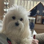 Debbie Hill Hatfield - @debbie.hatfield.94 - Instagram