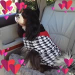 Debbie Hawks - @hawks.debbie - Instagram