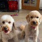 Debbie Hawkshaw - @debbiehawkshaw - Instagram