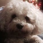 Debbie Hawksworth - @hawksworthdebbie - Instagram