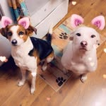 Debbie Hayden - @haydendebbie74 - Instagram