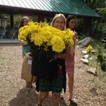 Debbie Haynes - @debbiehaynes2930 - Instagram
