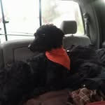 Debbie Heideman - @debbieheideman - Instagram
