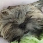 Debbie Heiden - @debbieheiden2 - Instagram