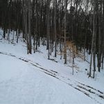 Debbie Hensley - @debbie.hensley.733 - Instagram