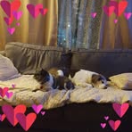 Debbie Hensley - Facebook