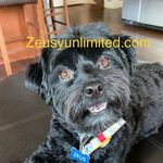 Debbie Hensley Korcykoski - @debbiekdiva - Instagram