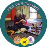 Debbie Herron - @game_on_dogs - Instagram