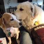 Debbie Herron - @debbie.herron.167 - Instagram