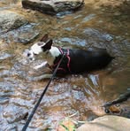 Debbie Hester - Facebook