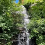 Debbie Hester - Facebook