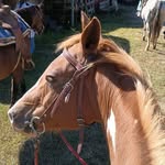 Debbie Hester - @debbiehester385 - Instagram