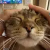 Debbie high - @debbie.high3 - TikTok
