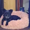 Debbie HighVander - @debbie.highvander - TikTok