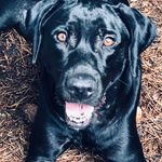 Debbie Highsmith - @ddhighsmith - Instagram