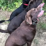 Debbie Hills - @debbiehills61 - Instagram