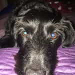 Debbie Hills - @deb_hills - Instagram