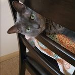 Debbie Hills - Facebook