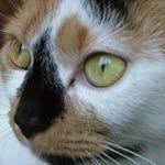 Debbie Hills - @hills7541 - Instagram
