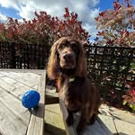 Debbie Hills - @djh781981 - Instagram