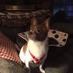 Debbie Hinton - @hinton_1957 - Instagram