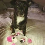 Debbie Hipp - @debbiehipp - Instagram