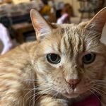Debbie Bevinetto Hirsch - @debbiebevinetto - Instagram