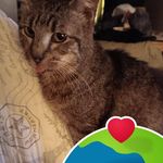 Debbie Hite - @debbie.hite.98 - Instagram
