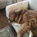 Debbie Hite - Facebook