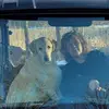 DG - @debbiehoffman32 - TikTok