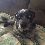 Debbie Hogan - @debbie_hogan_tootsie - Instagram