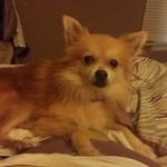 Debbie Hogan - @debbie9866 - Instagram