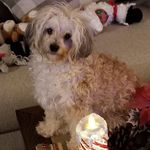 Debbie Hogan - @debbie.hogan.921 - Instagram