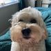 Debbie Hogan - Facebook