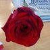 Debbie Hook - Facebook
