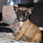 Debbie Hook - @hook.debbie - Instagram