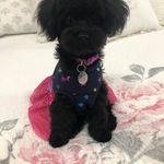 Debbie Hooks Southern - @pinkgem222 - Instagram